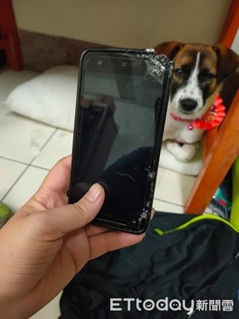 妈妈短裤被咬成破裤“洞洞超尴尬”　凶手冷看一眼淡定离场