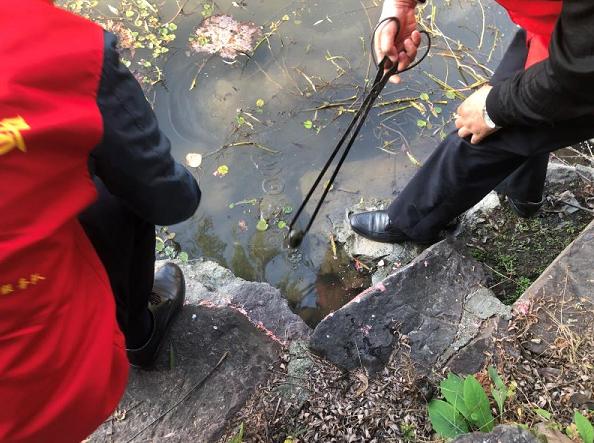 这6种食物或是寄生虫的重灾区,有哪些寄生虫会致命