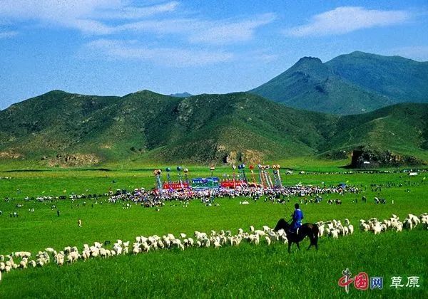 明日！嘎查达、村长、书记集体直播带货，速来购买