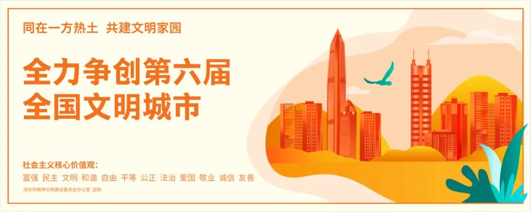 深圳市国际吉他艺术节,宝安区文化节