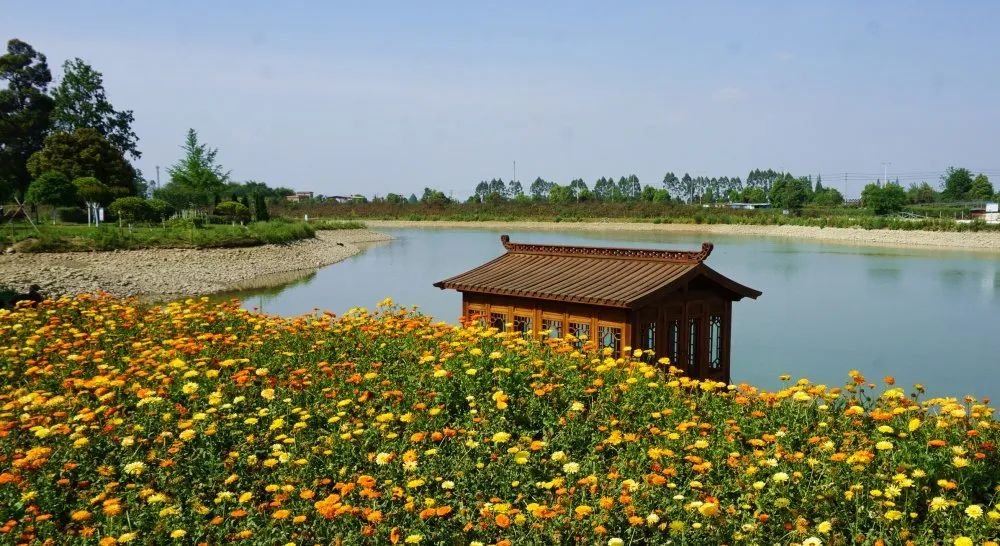 新津这边晚上有没有好耍的地方,新津有哪些人少且免费的旅游景区