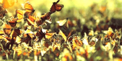 引爆520，吾悦浪漫助力！克徕帝臻选钻戒，Dior口红免费送，还有全牛盛宴…