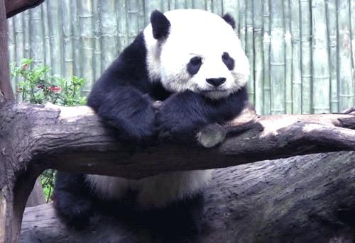 每天放空大脑20分钟,每天发呆5分钟解压视频