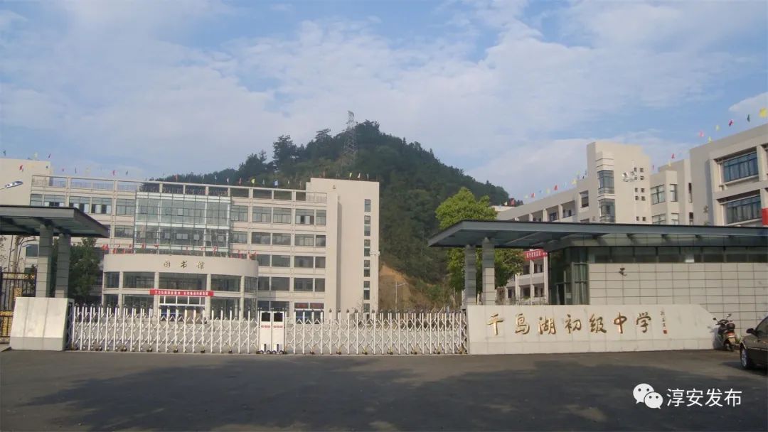 关注学区划分的政策,关注学区划分政策