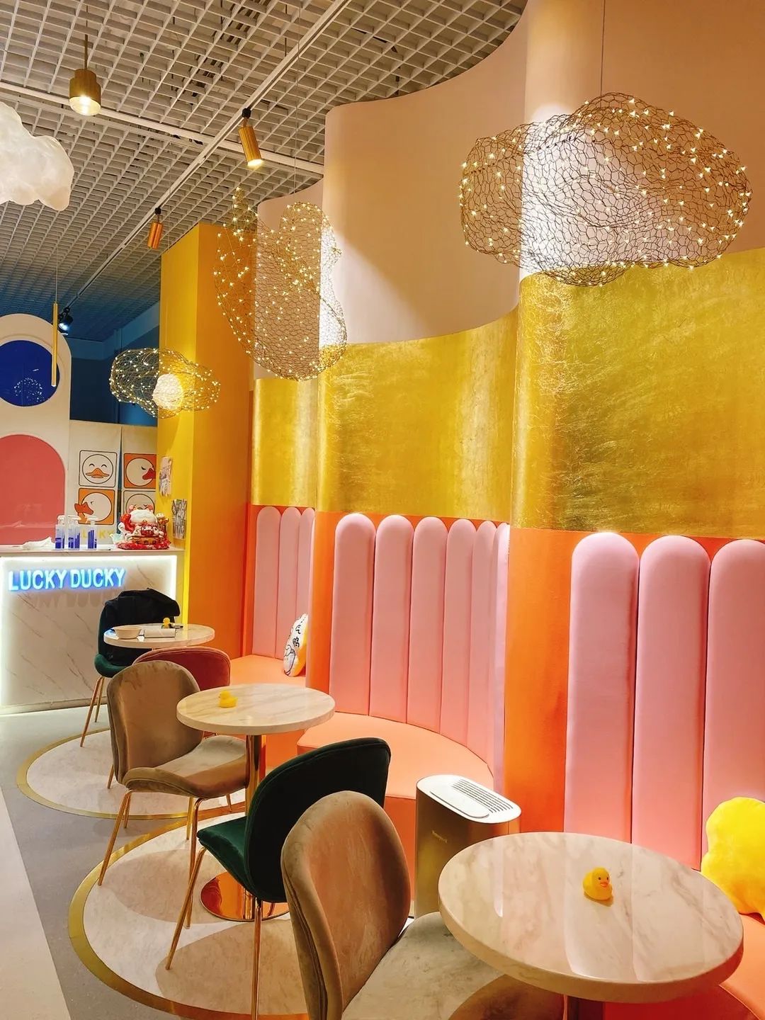 网友吸猫撸狗,吸猫撸狗的地方