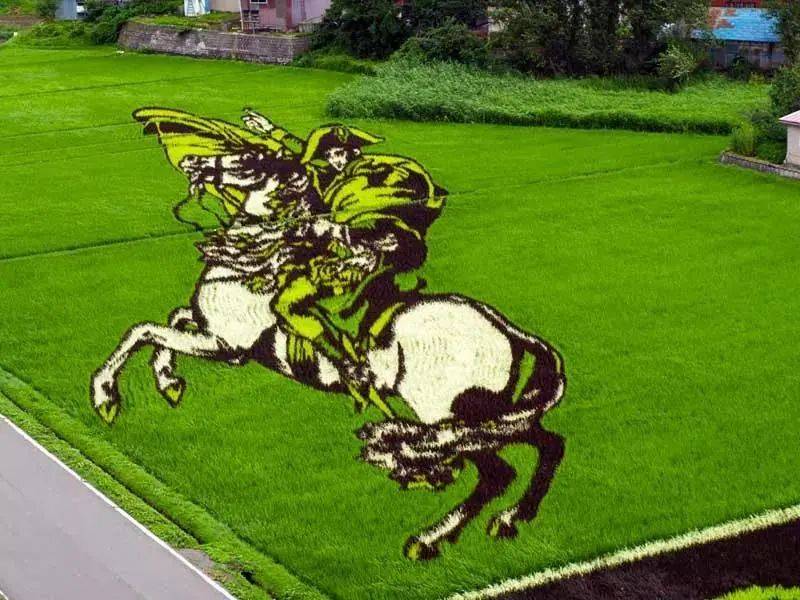 向往的生活带你体验乡间的路,向往的生活田园生活