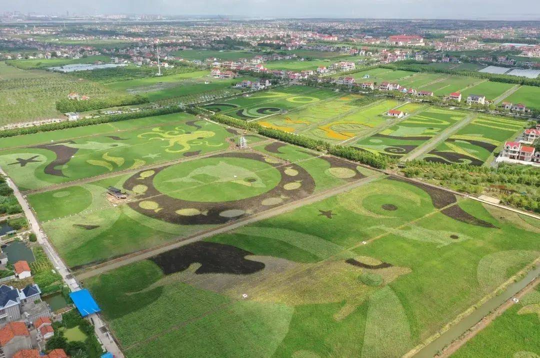 向往的生活带你体验乡间的路,向往的生活田园生活