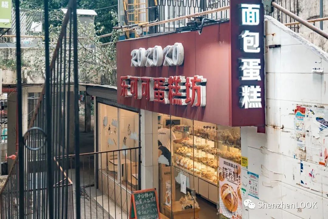 LOOK|这，就是园岭