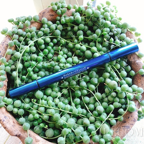 超市里完爆专柜的开架彩妆!真是捡到宝