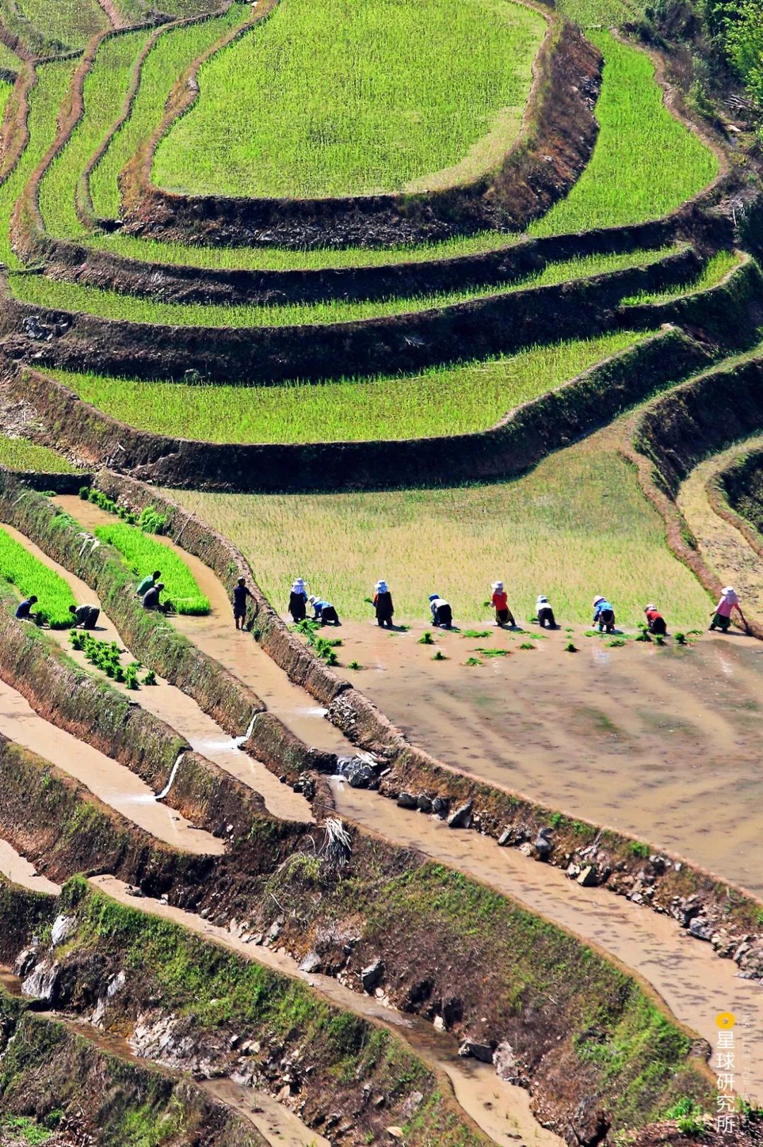 云南红河景色迷人,云南红河州哪些地方自然风光美