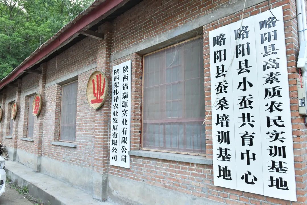 蚕宝宝怎么才能吐出金丝,蚕宝宝吐出透明色液体