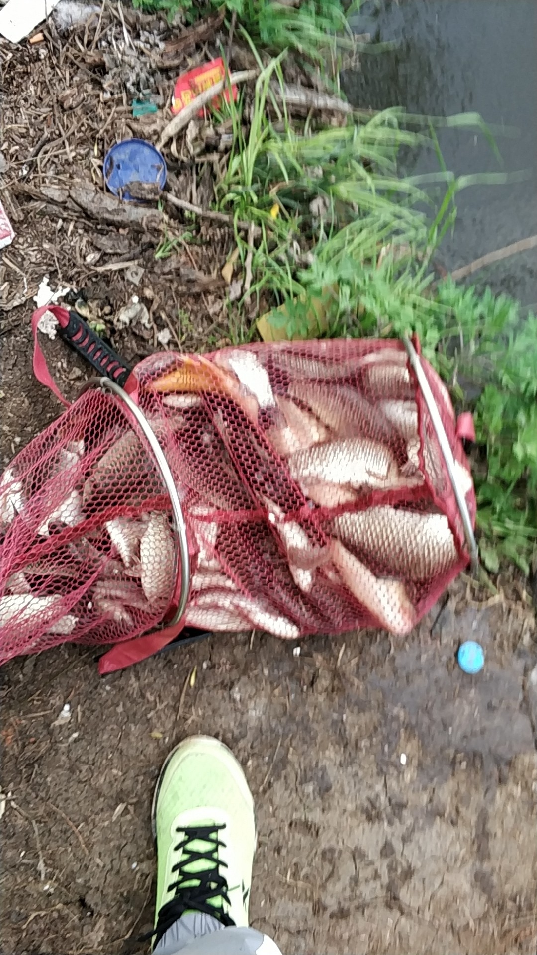 钓鱼人818完整视频,钓鱼人818攻略