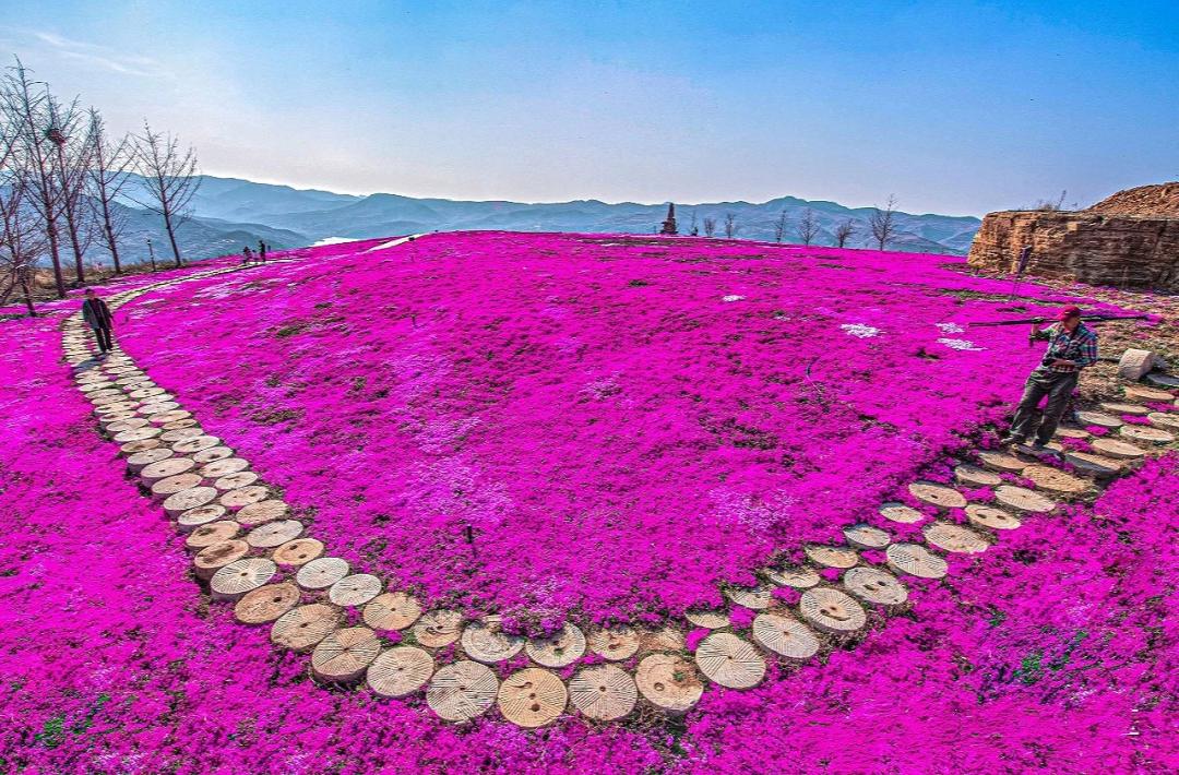 淄博景区半价,淄博3月底免费景点免费开放通知