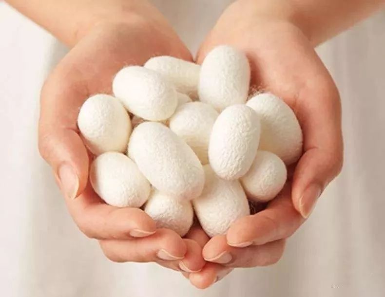 桑蚕丝夏凉被薄款,桑蚕丝被是否冬暖夏凉