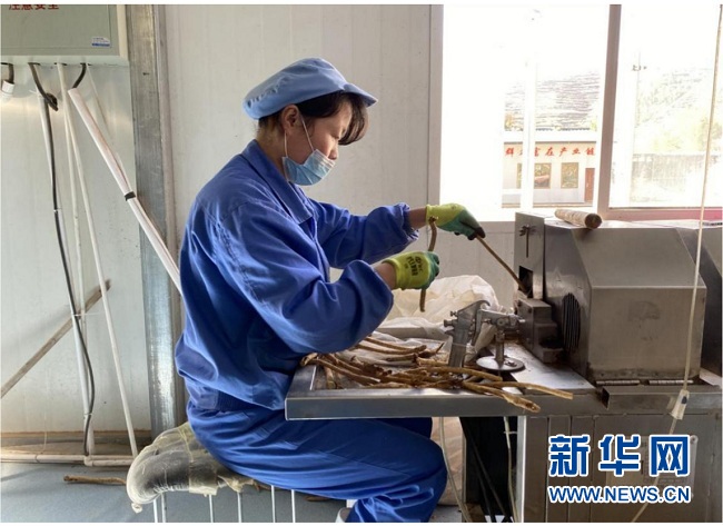 岷县到合作路线,岷县到合作怎么走