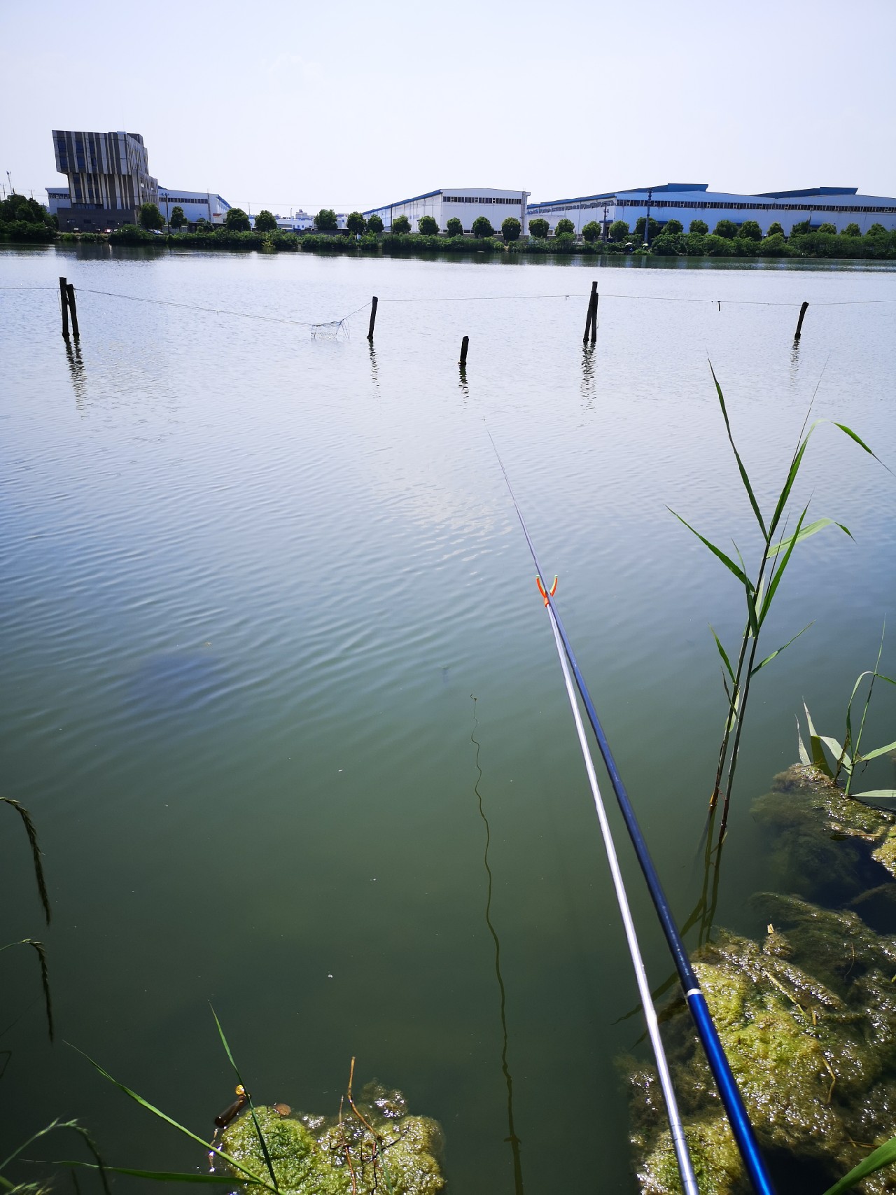 大餐条拉得很有手感，就是太费子线