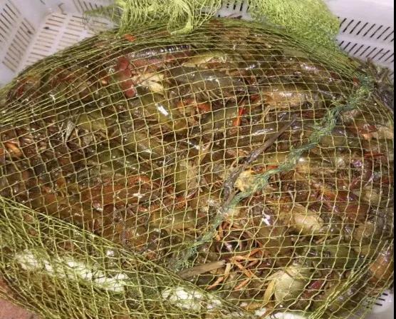 小龙虾困境解决方法,最新小龙虾养殖新模式