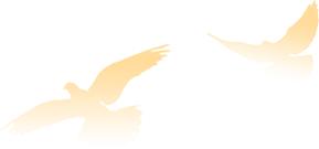 实验小学红领巾心向党舞蹈完整版,红领巾心向党北辰区模范小学