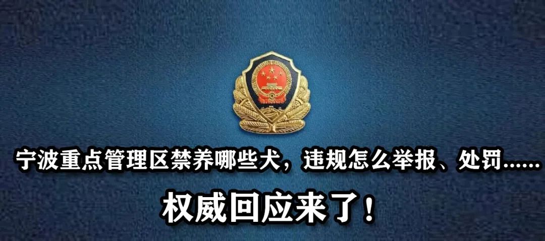 这里有一份月入1.8万的简单工作…