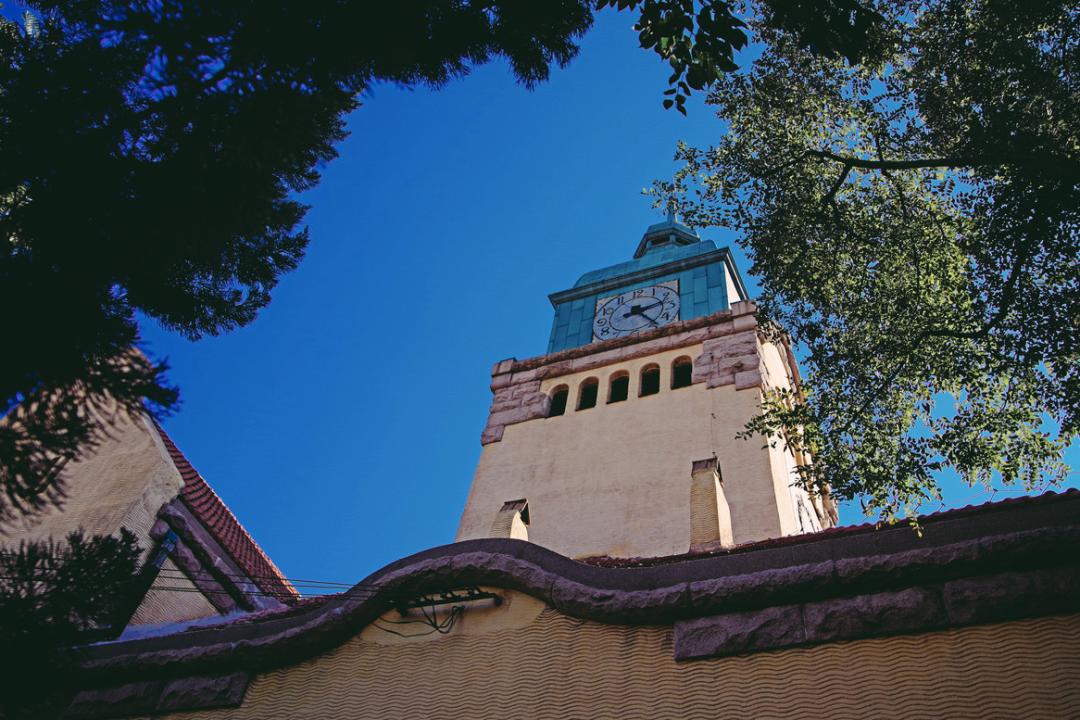 均温20℃的海滨老城，紫色泡桐花美得像国外，现在去性价比超高