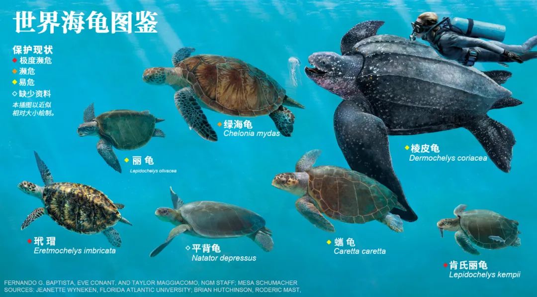 新冠肆虐,新冠在东南亚持续肆虐