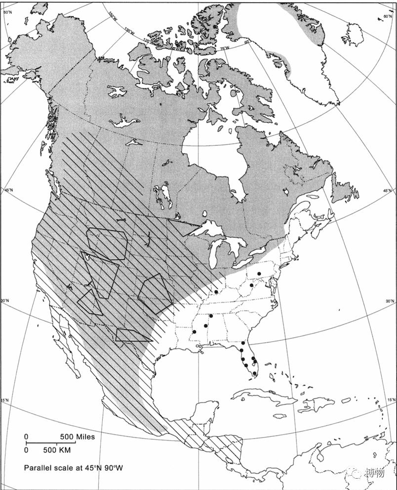 这才是*男猛**应该认识的动物