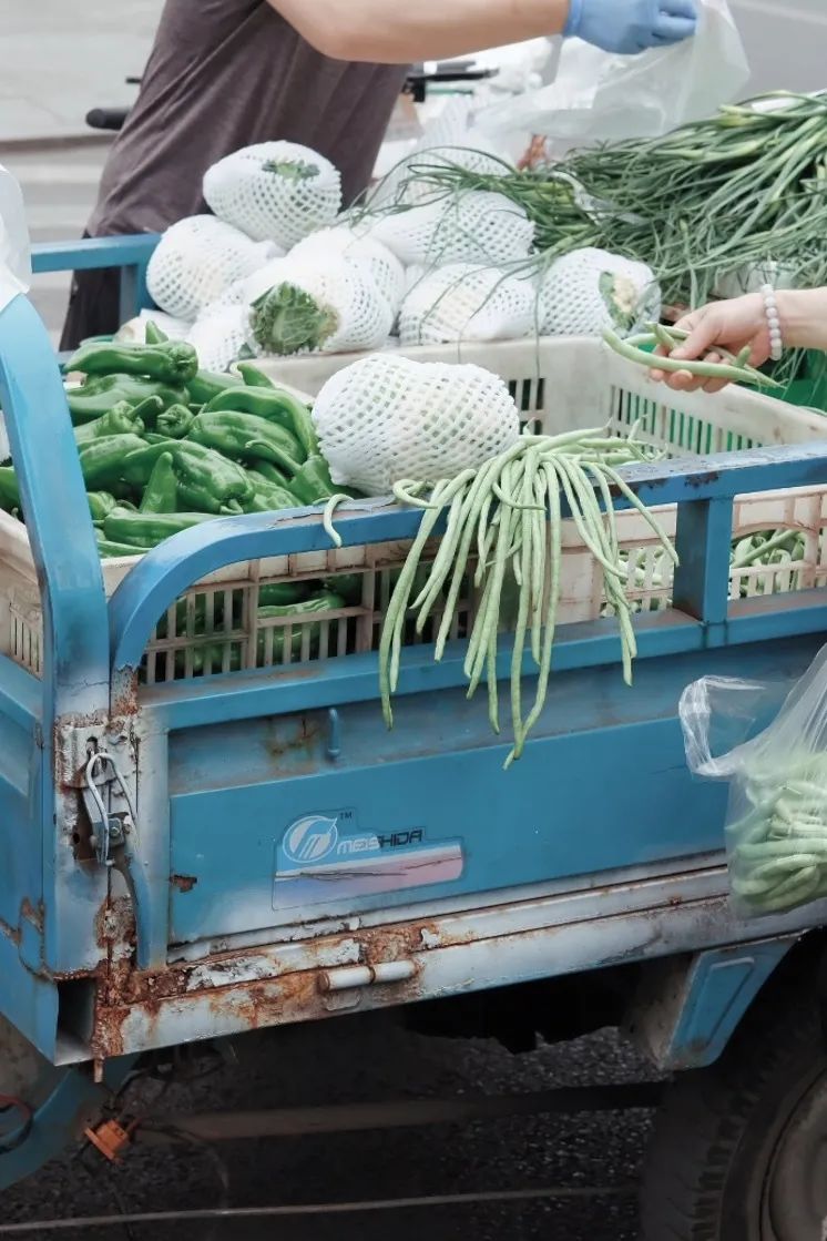 少陵路是属于哪个街道,三年前少陵路