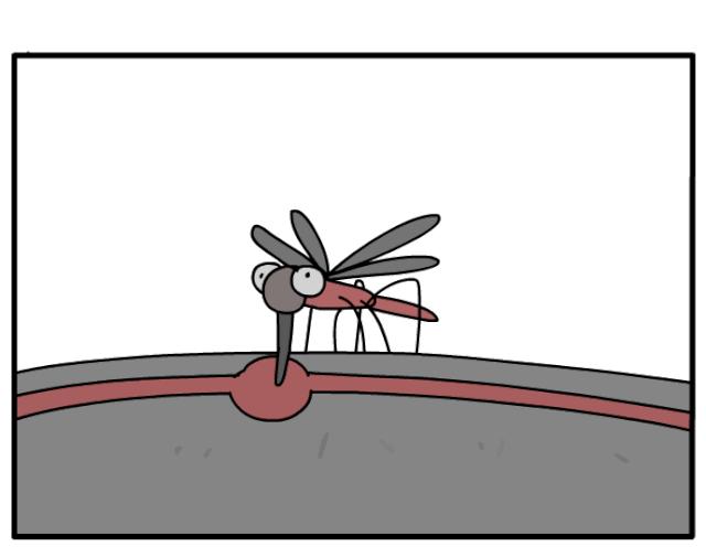 冬季蟑螂不休眠抓住灭蟑的好时机,灭蟑螂的最好方法家里有很多蟑螂