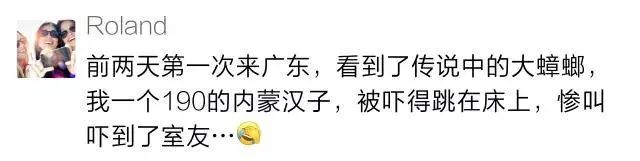 冬季蟑螂不休眠抓住灭蟑的好时机,灭蟑螂的最好方法家里有很多蟑螂