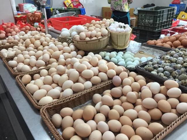 嘉兴今日鸡蛋价格多少钱一斤,嘉兴鸡蛋期货行情分析