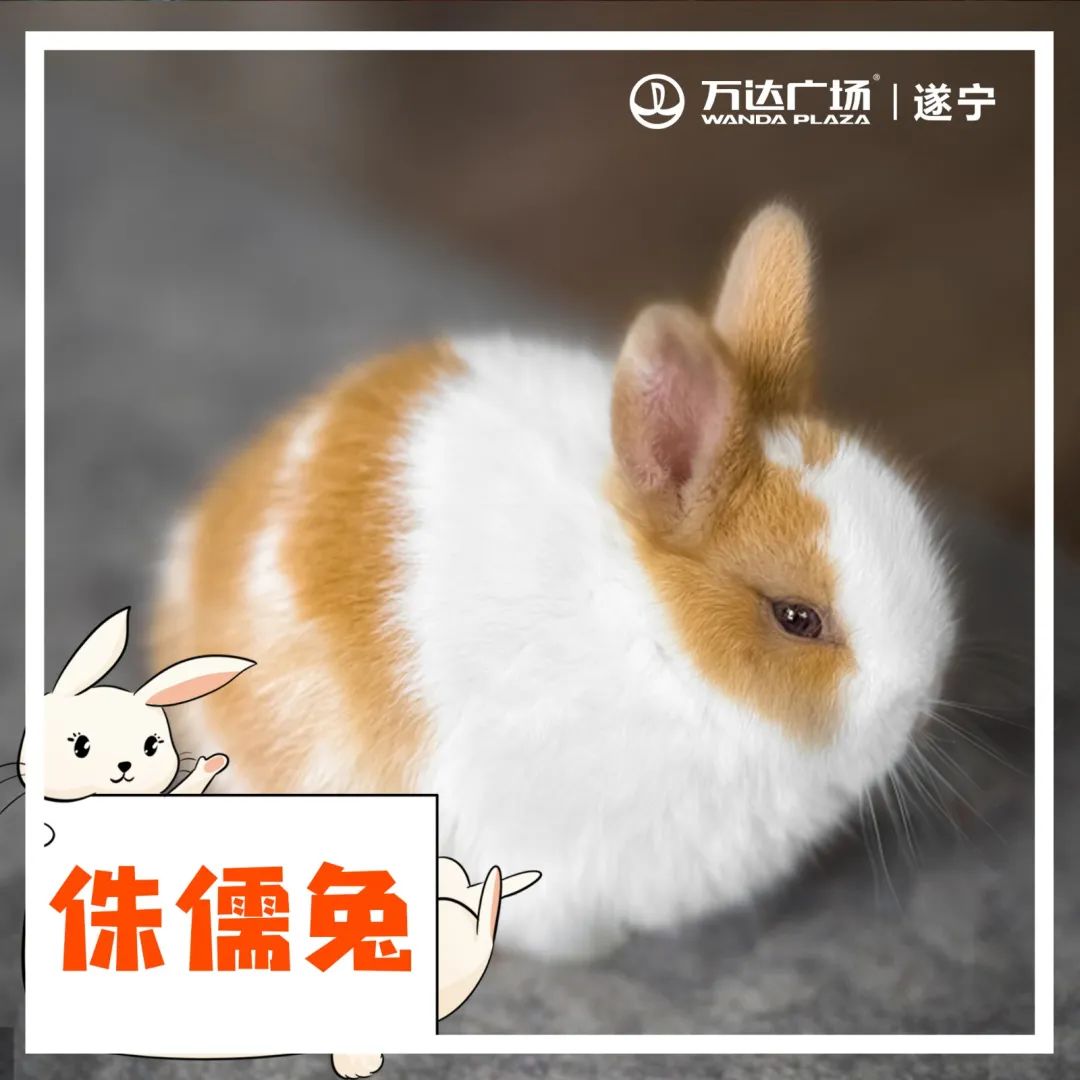 小宝贝解封后秒变“神兽”，这里有魔力啊