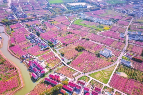 砥砺前行战中考齐心协力创辉煌,奉贤美奉贤强新答卷