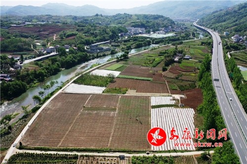 石泉旗帜领航助推乡村全面振兴,石泉县池河镇乡村