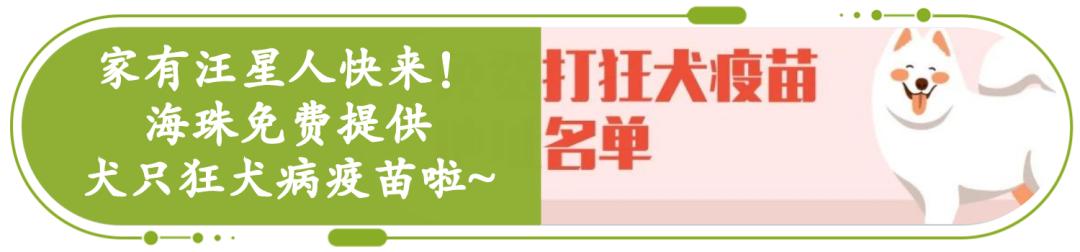 广州海珠区机场转运志愿者,广州海珠志愿者招募最新