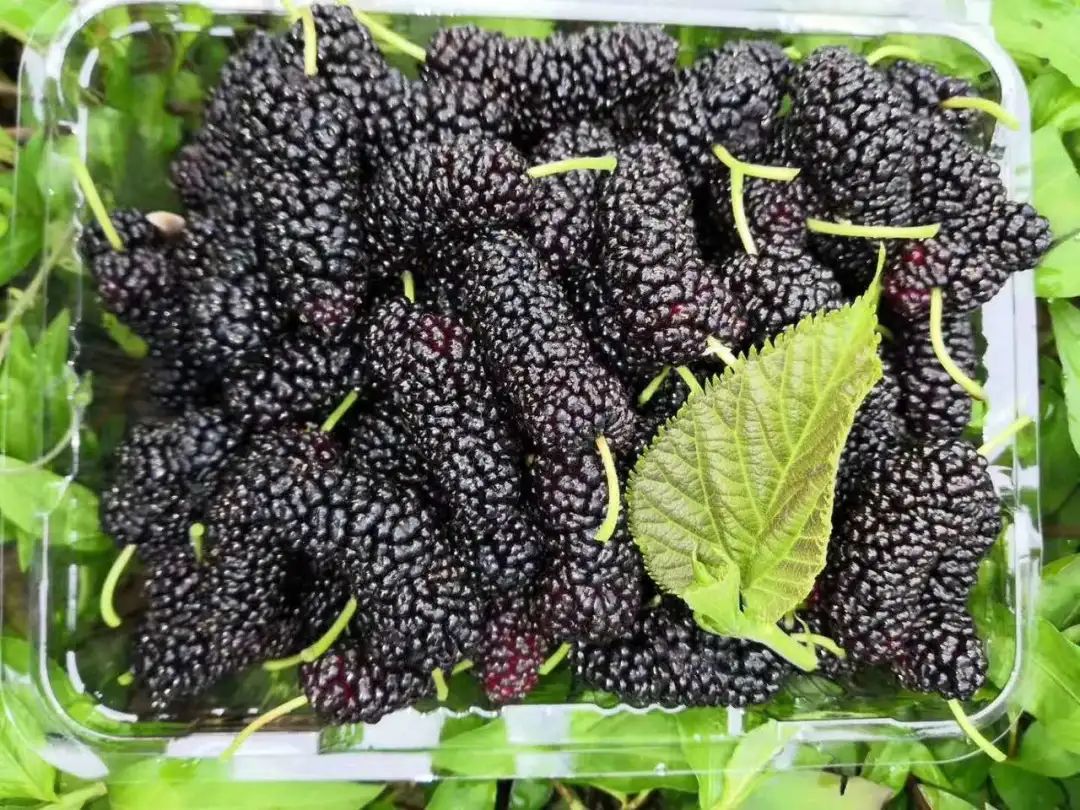 大朋友小朋友,六一去哪嗨?宜昌14家景区特惠福利来袭!