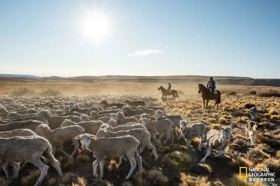 这对夫妇花巨资买下国家公园，居然白送？