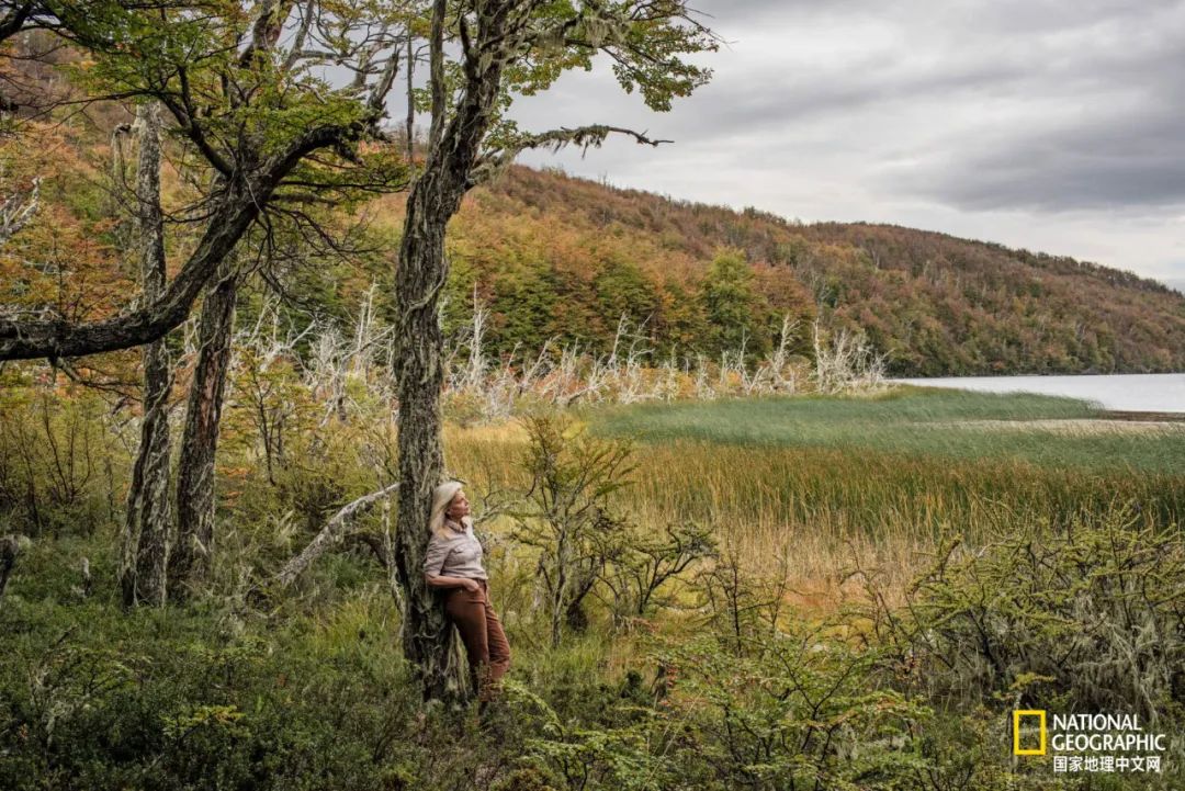 这对夫妇花巨资买下国家公园，居然白送？