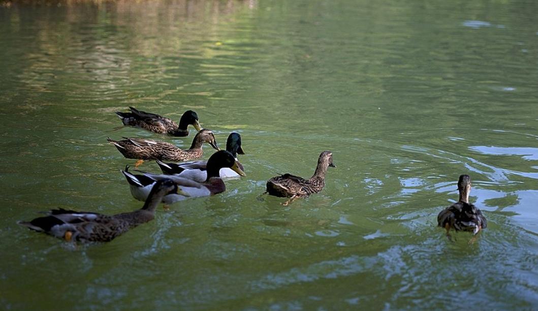 郑州网红打卡地玩的地方免费,郑州地下隧道网红打卡点