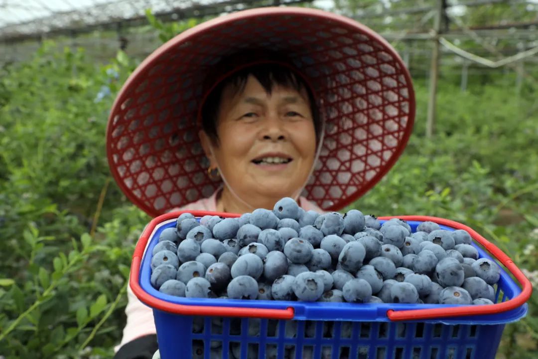 酸甜可口咬一口满嘴口水,酸甜脆爽一口就能爆汁