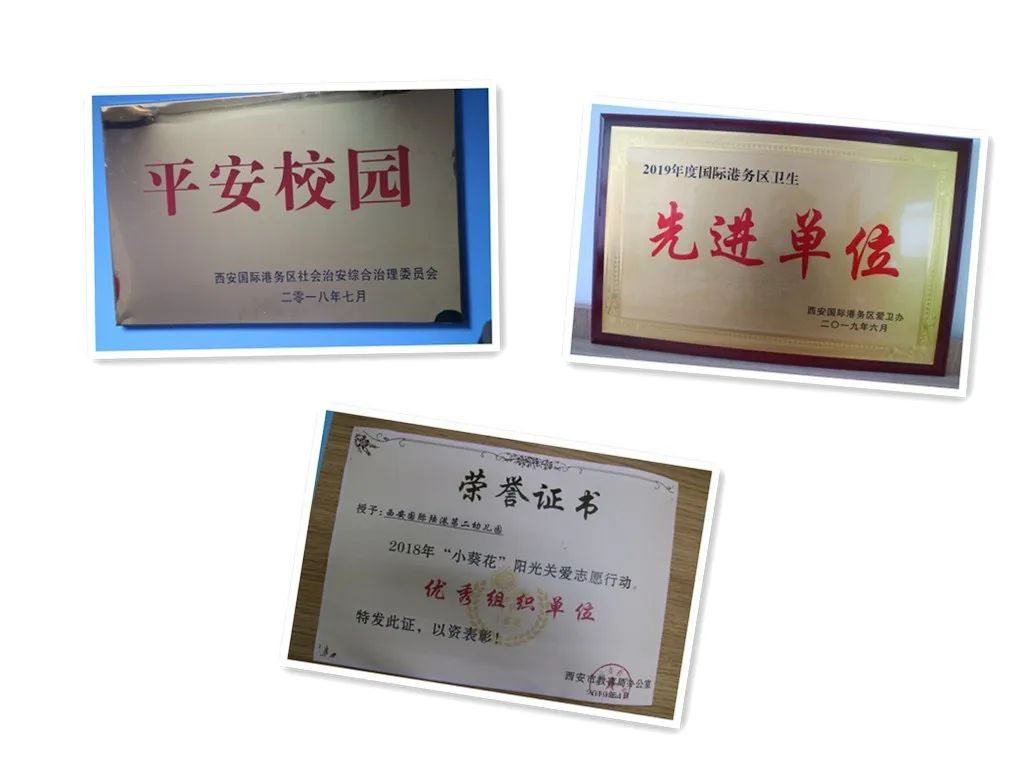 11所公立幼儿园,宝藏幼儿园一览