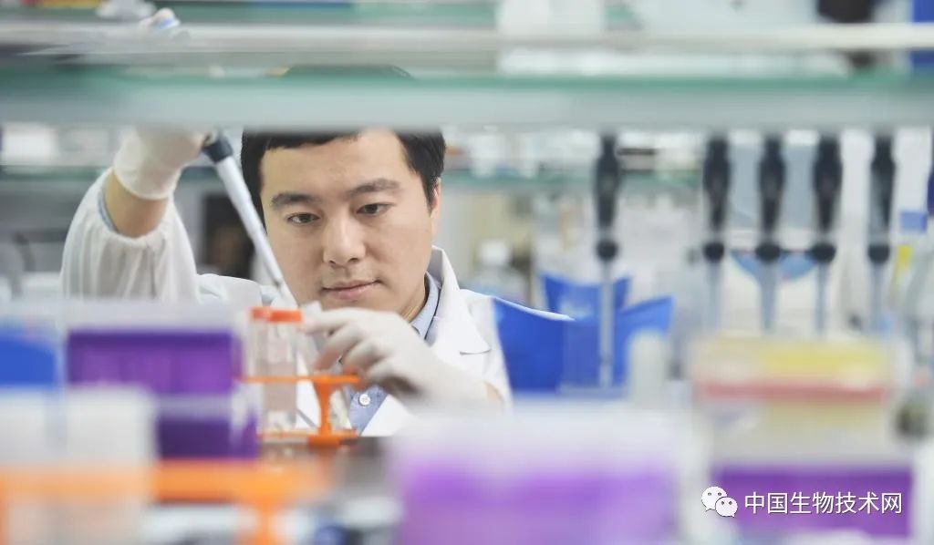 用一管血治疗痛风,西湖大学痛风研究最新进展