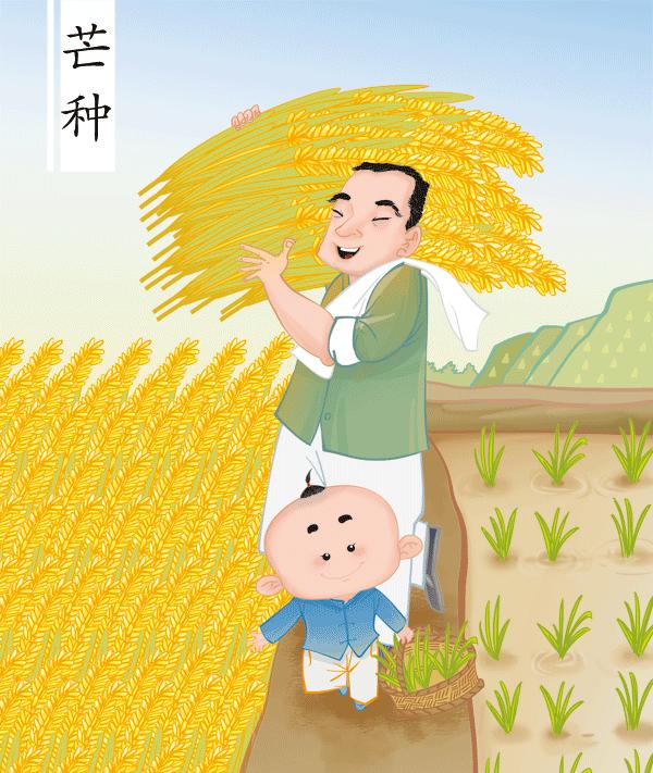 今日芒种七律,今日芒种最新模板