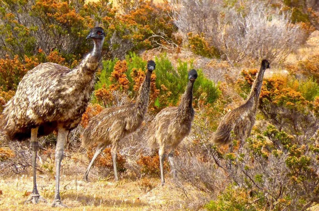 冬天脱鞋脚臭怎么办,长时间没办法脱鞋怎么防止脚臭