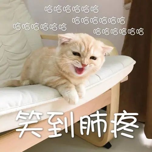 ios怎么改微信号最新,ios系统微信号怎么改第二次