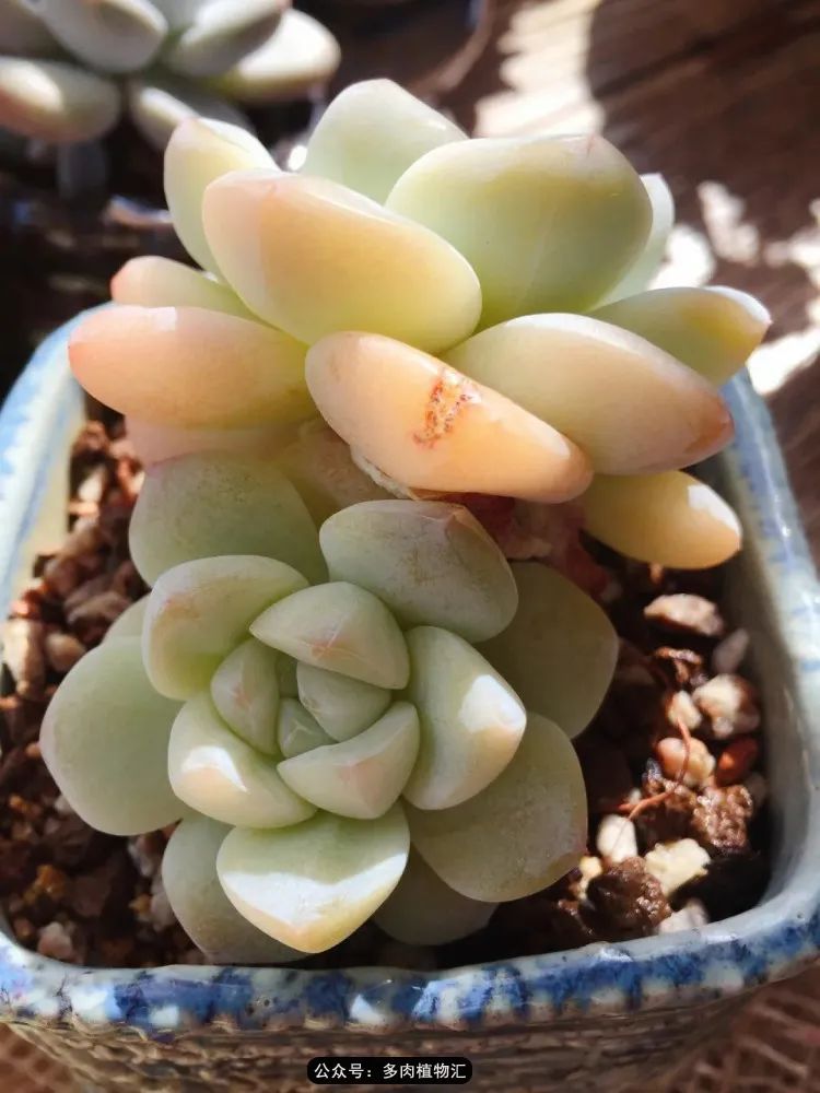 专注于自己喜欢的事情,专注于自己喜爱的事情