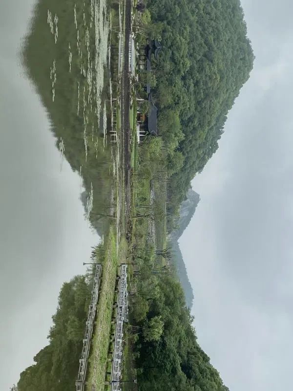 杭州新开最大的公园,杭州新湿地公园