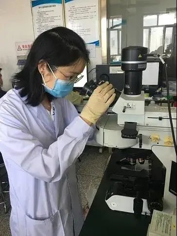 华理晋升双一流大学,华为双一流大学签约前20名高校