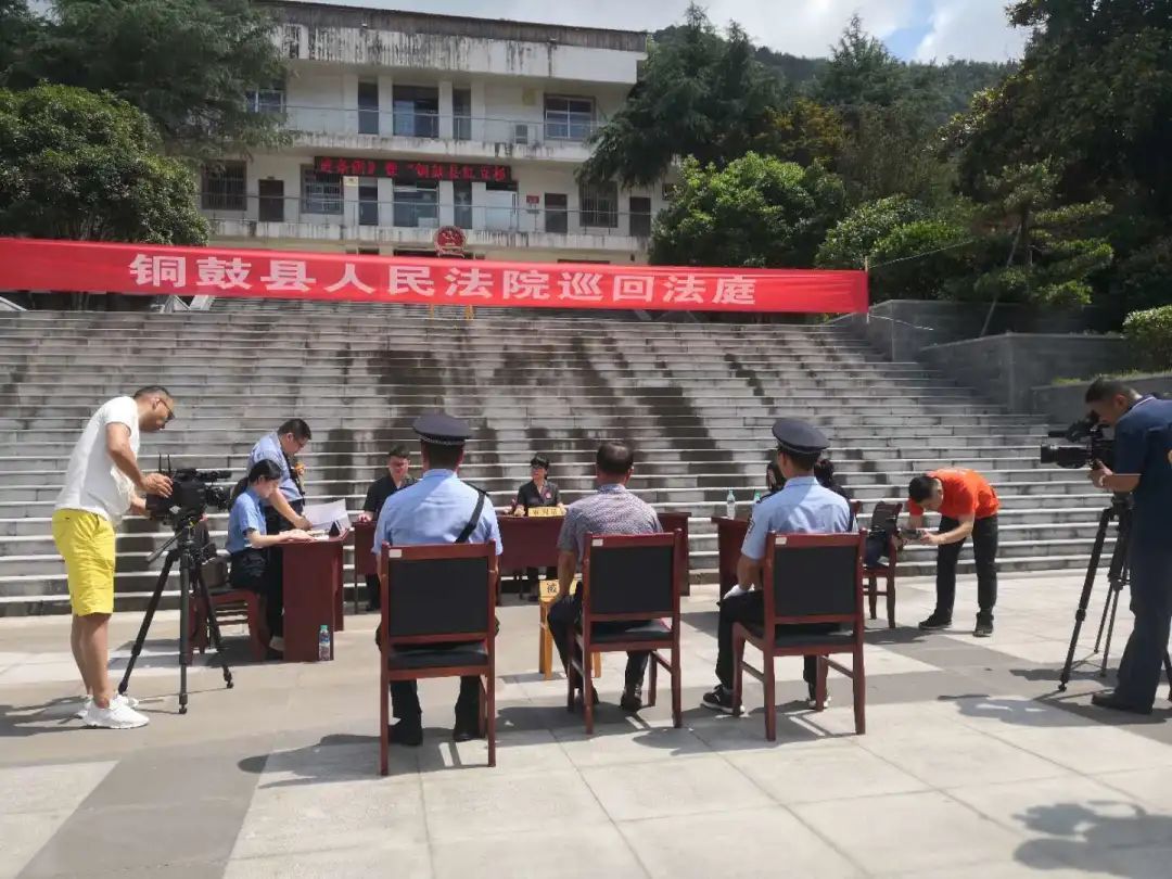 「爱问」爱上“红豆杉”