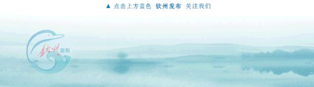龙圩区村两委换届选举工作,钦州市各村换届名单