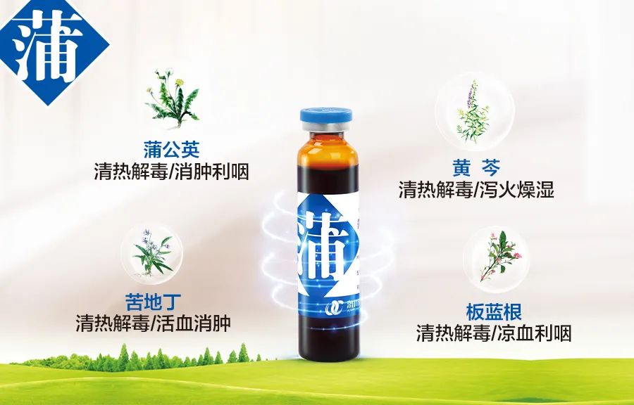 蒲地蓝消炎片对扁桃体化脓有效吗,儿童扁桃体化脓吃蒲地蓝口服液吗